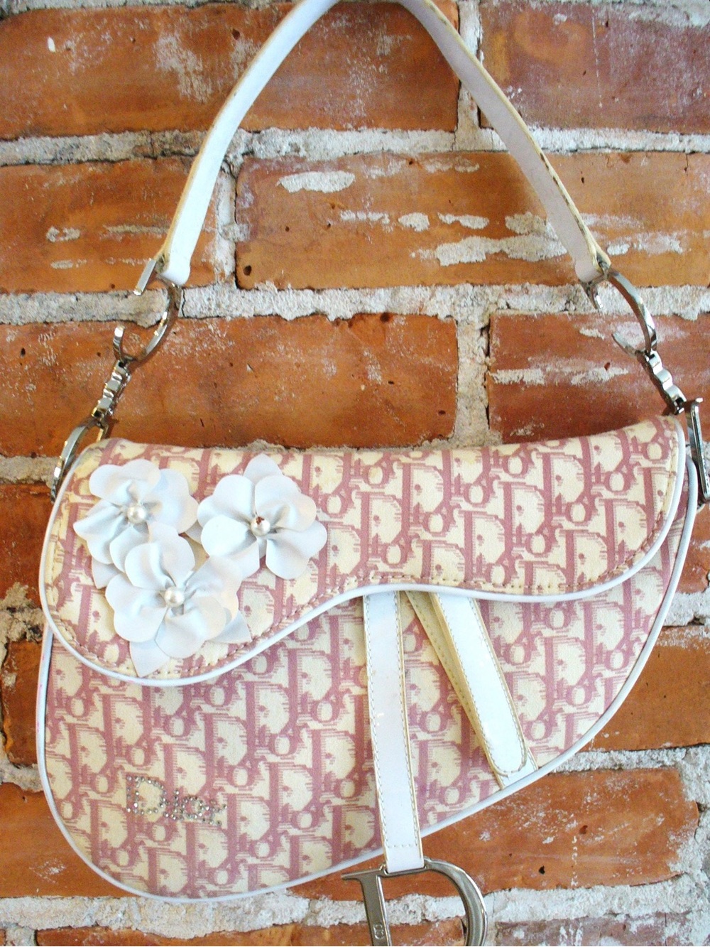 LOOKING FOR: DIOR BAG